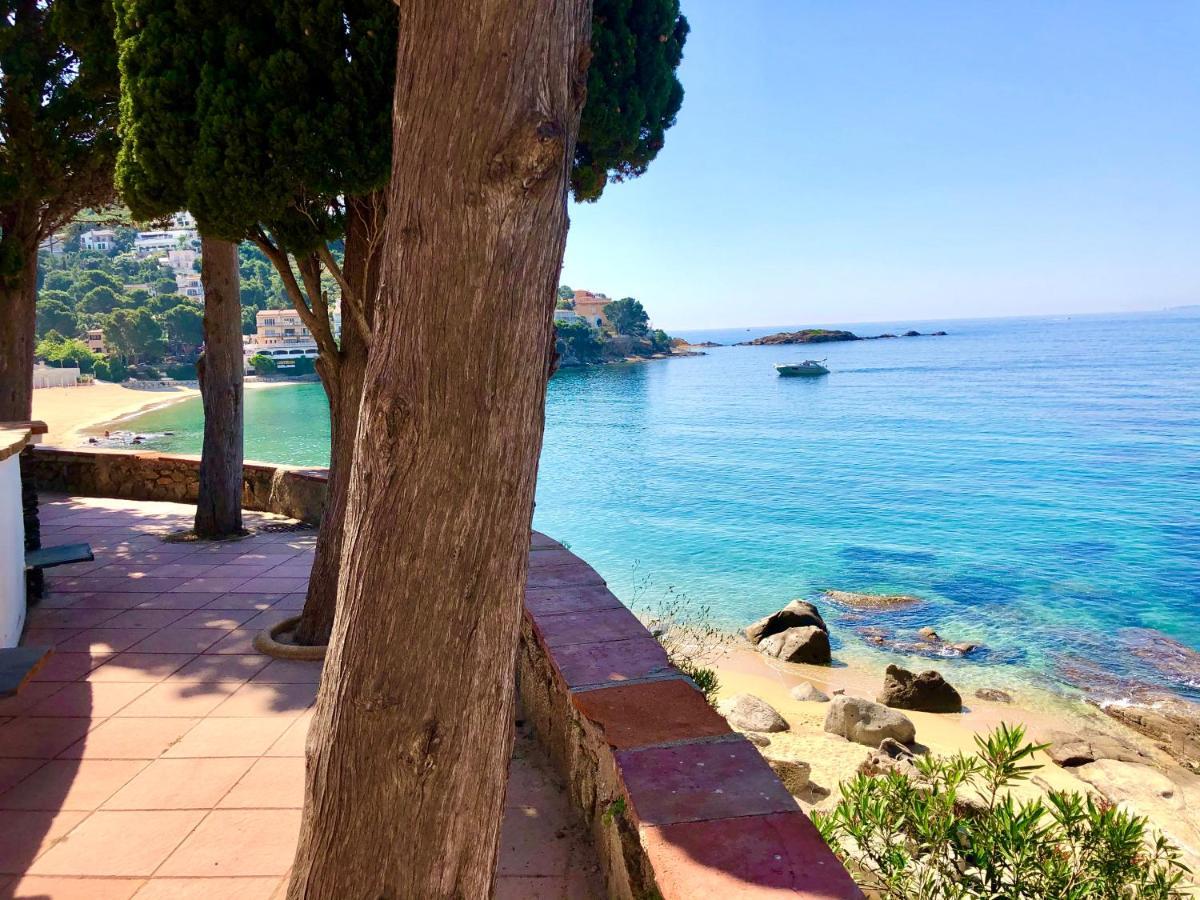 Magnifique Appartement En Front De Mer, Caneylles 罗萨斯 外观 照片